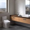 Aquia® IV Inodoro alargado dos piezas 1.28 & 0.9 GPF Conexión Washlet+