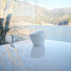 Neorest® NX1 Inodoro inteligente de doble descarga 1.0 & 0.8 GPF Blanco Algodón