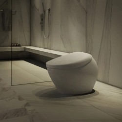 Neorest® NX2 Inodoro inteligente de doble descarga 1.0 & 0.8 GPF Blanco Algodón