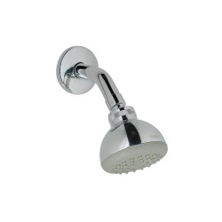Brazo a pared con rociador de ducha orientable Ø 70 mm Cromo
