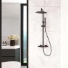 Tzar columna telescópica termostática rociador Ø 250 mm y accesorios metálicos Negro Mate