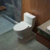 Legato™ Inodoro de una pieza 1.28 GPF conexión Washlet®+