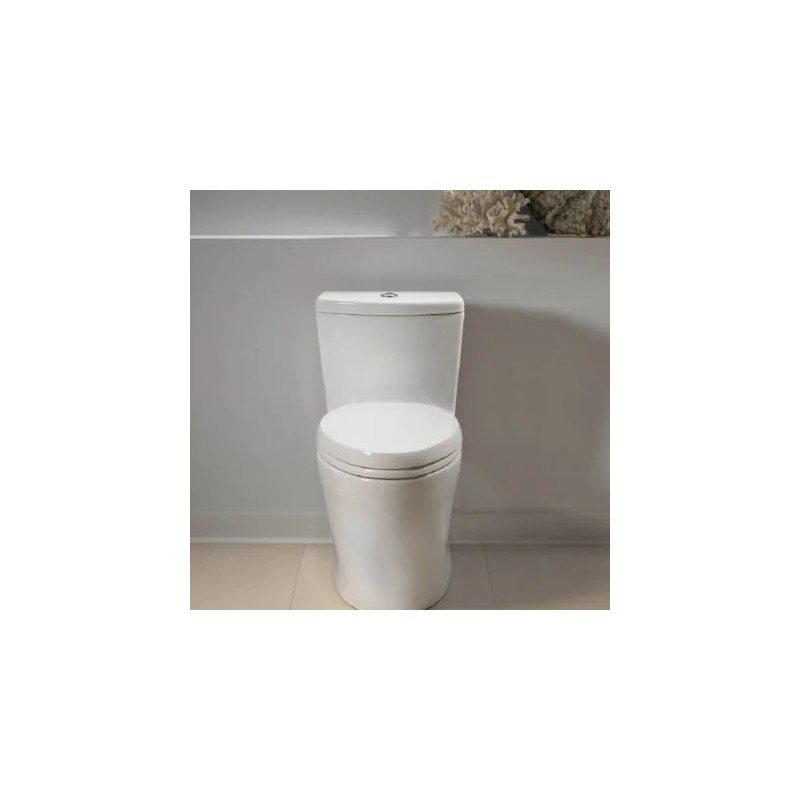 Aquia IV Inodoro de una pieza taza alargada 1.0 & 0.8 GPF conexión Washlet+
