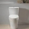 Aquia IV Inodoro de una pieza taza alargada 1.0 & 0.8 GPF conexión Washlet+
