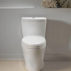 Aquia IV Inodoro de una pieza taza alargada 1.0 & 0.8 GPF conexión Washlet+