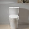 Aquia IV Inodoro de una pieza taza alargada 1.0 & 0.8 GPF conexión Washlet+